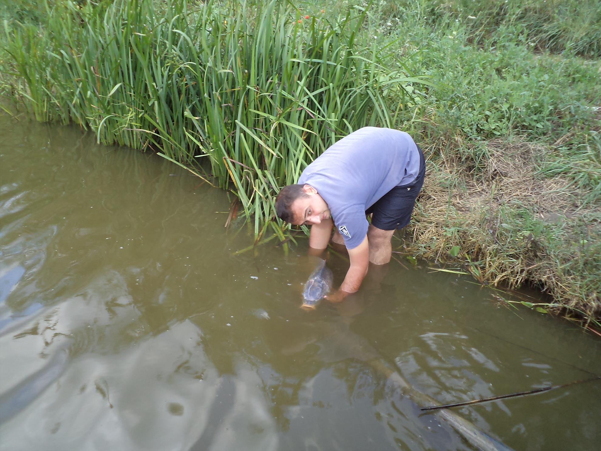 Magura 9 07.07.2013 - dsc01518.JPG